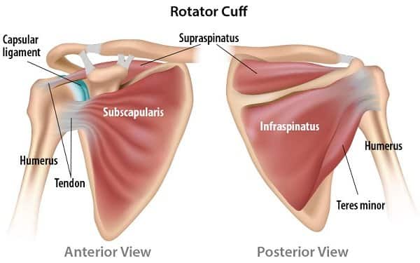 shoulder overuse injuries